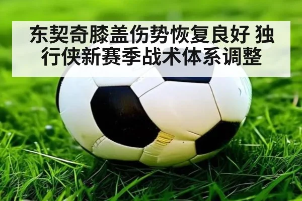 东契奇膝盖伤势恢复良好 独行侠新赛季战术体系调整