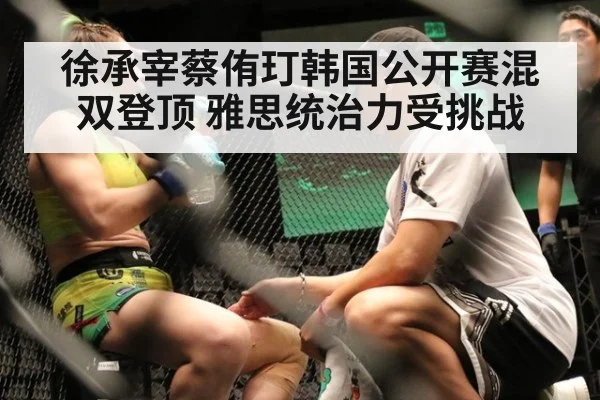 徐承宰蔡侑玎韩国公开赛混双登顶 雅思统治力受挑战