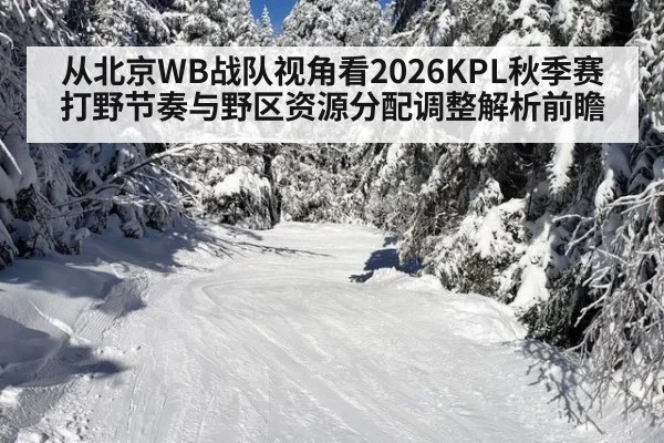 从北京WB战队视角看2026KPL秋季赛打野节奏与野区资源分配调整解析前瞻
